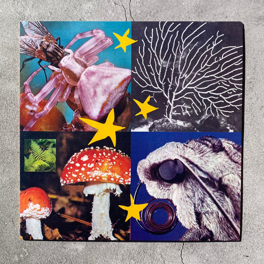 Various Artists - All Things Considered 02