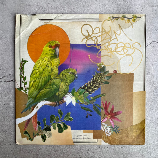 Psalm Trees - Caso De Amor Brasileiro